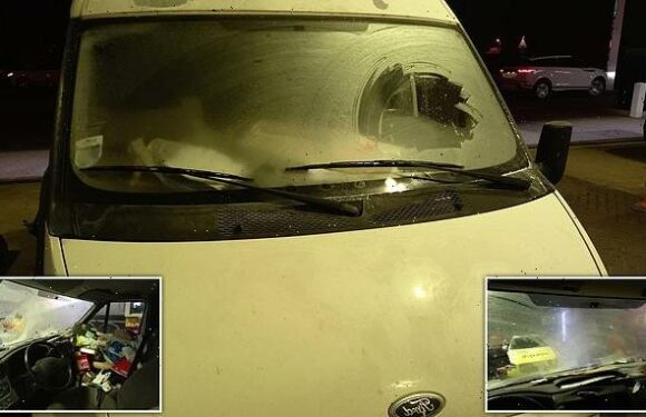 Police stop white van driver who de-iced TINY patch of windscreen