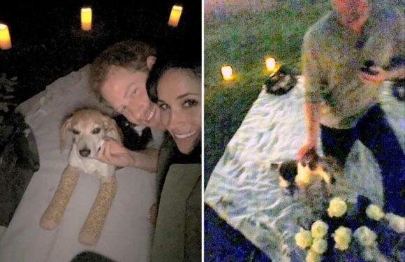 Prince Harry details his low-key proposal to Meghan Markle