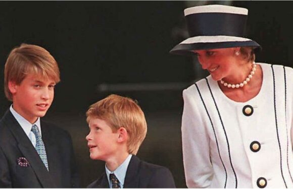 Prince William and Prince Harry's Young Ages When Princess Diana Died Are Still Shocking