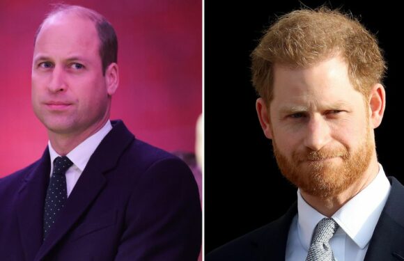 Prince William ‘unlikely to repair relationship with Harry’ after Netflix doc