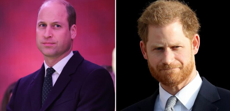 Prince William ‘unlikely to repair relationship with Harry’ after Netflix doc