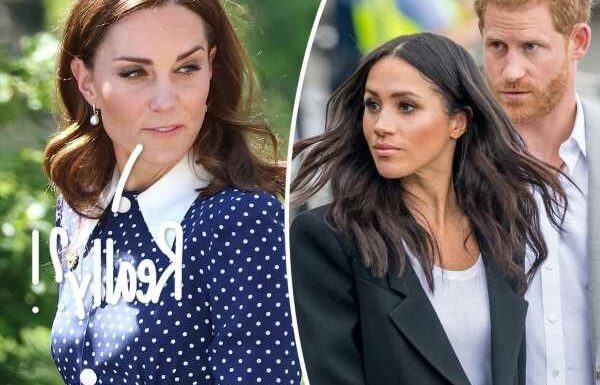 Princess Catherine’s Friends ‘Sickened’ By Her Portrayal In Harry & Meghan First Look!