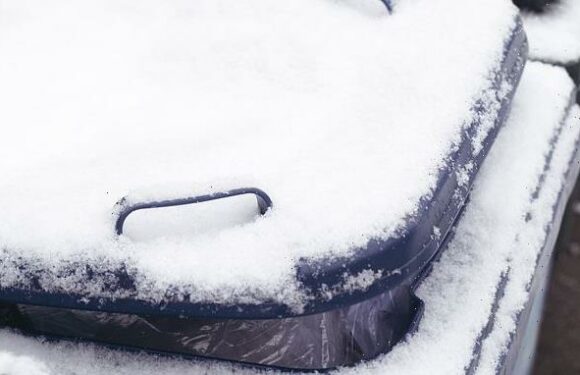 Residents warned bins with lids frozen shut won't be emptied
