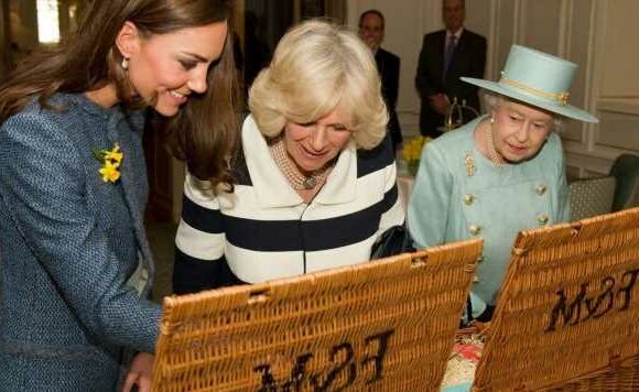 Royal Family buy ‘joke’ Christmas gifts at ‘fabulous’ store