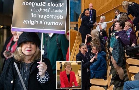 SNP's trans bill could spark 'gender tourism' to Scotland