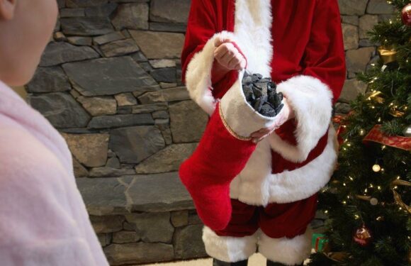 ‘Santa should phase out coal’ and give kids stick insects instead, says doctor