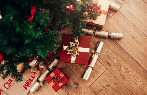 Save 20% off at Matalan Christmas ranges with this discount code | The Sun