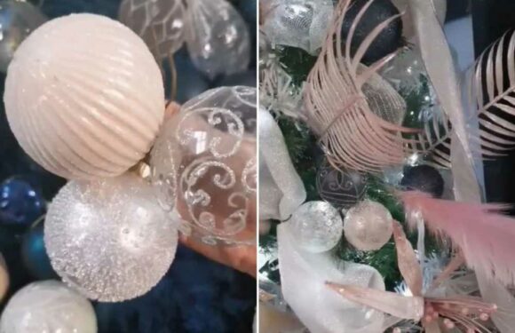 Savvy woman shows how to hang your Christmas baubles to make your tree look way more expensive than it is | The Sun