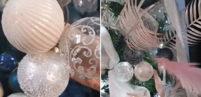 Savvy woman shows how to hang your Christmas baubles to make your tree look way more expensive than it is | The Sun