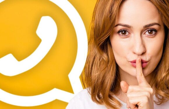 Secret WhatsApp message upgrade is what millions have been waiting for