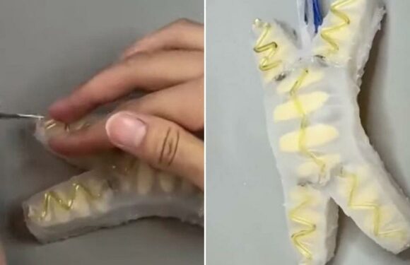 ‘Self-healing’ robot survives stabbing ‘torture’ and gets back up walking again