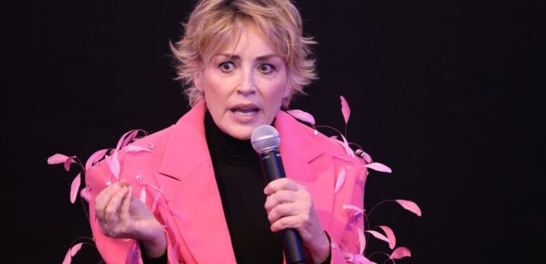 Sharon Stone Tears Up As She Recounts Backlash Against Her Support Of AIDS Charity AMFAR — Red Sea Festival