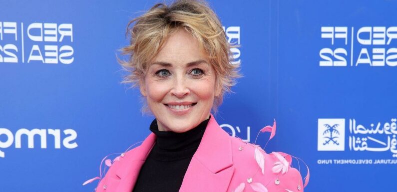 Sharon Stone adopts sons best friend after tragedy leaves him without a dad