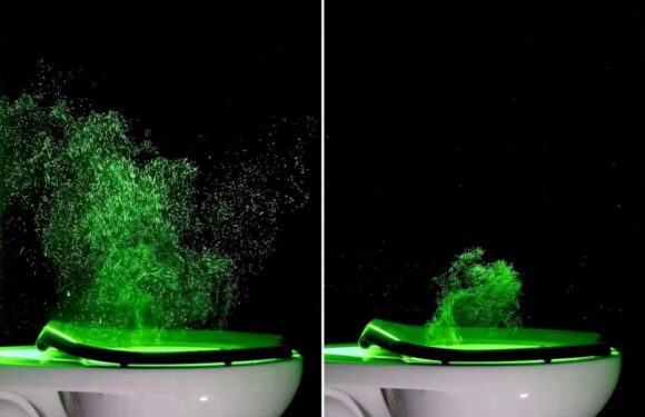 Shocking video reveals why it’s so important to shut the toilet seat before you flush | The Sun