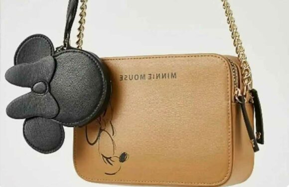 Shoppers go wild for 50p Minnie Mouse bag from Asda & say it'd make the perfect Christmas present | The Sun