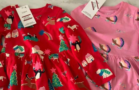 Shoppers share their bargain buys after hitting the Marks and Spencer Christmas sale – from £2 dresses to £5 pyjamas | The Sun