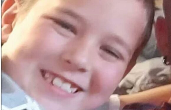 Solihull lake tragedy: Two boys who died falling through ice were brothers and dad of one of boys jumped in to save them | The Sun