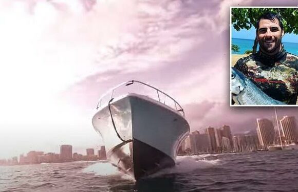 Spearfishing diver narrowly avoids being run over by speeding boat