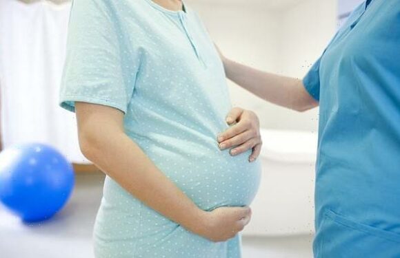 TOM UTLEY forgives NHS woes after becoming a grandfather (again)