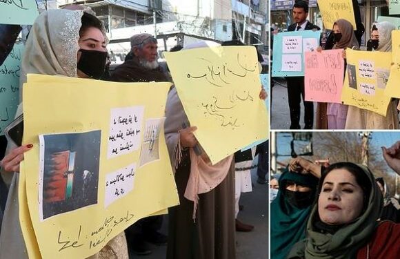 Taliban BAN foreign and domestic NGOs from employing women