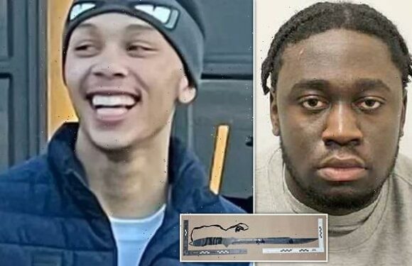 Teen who killed boy, 16, after his mocking rap, is jailed for life