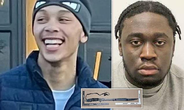Teen who killed boy, 16, after his mocking rap, is jailed for life