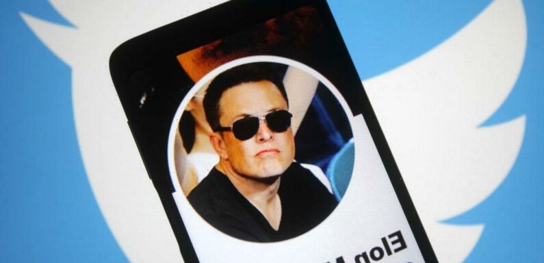 Tesla bigwigs urge Elon Musk to ‘stop wasting time’ posting memes on Twitter