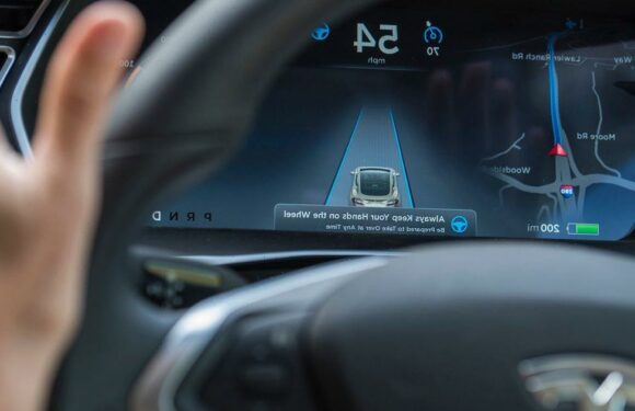 Tesla driver blames eight-vehicle crash on AI-powered ‘full self-driving’ mode