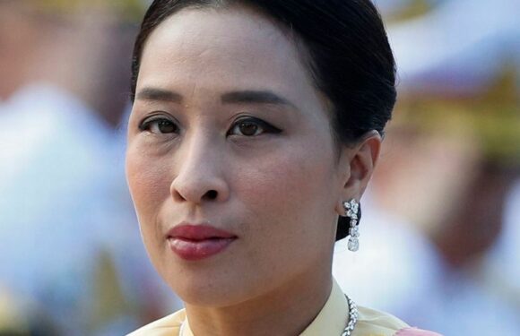 Thai princess next in line to throne on life support after collapse on dog walk
