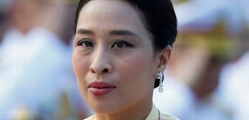 Thai princess next in line to throne on life support after collapse on dog walk