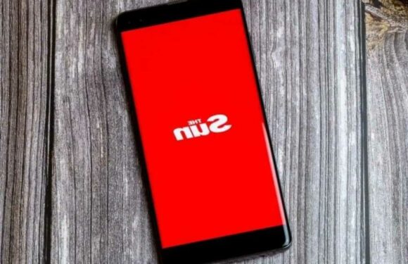 The Sun reveals new app to get instant access to paper, magazines and puzzles – here's how to get it | The Sun