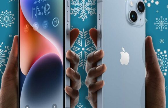 The iPhone 14 is half-price! Boxing Day deal offers ultimate upgrade