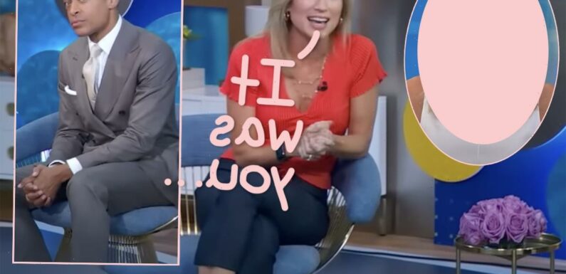 There's ONE GMA Host Amy Robach Blames For Her & T.J. Holmes' Sudden Ousting!