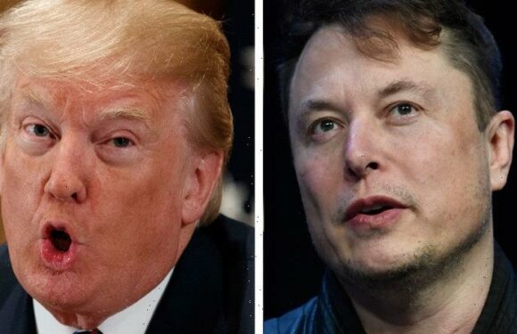Trump plans to dismantle censorship in policy that would challenge Musk’s Twitter bans