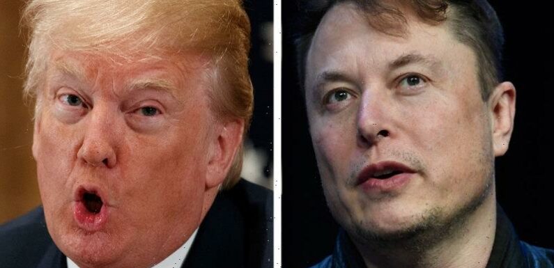 Trump plans to dismantle censorship in policy that would challenge Musk’s Twitter bans