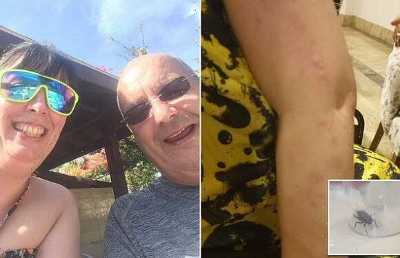 Tui customer left covered in bed bug bites and terrified by COCKROACH