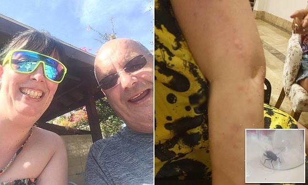 Tui customer left covered in bed bug bites and terrified by COCKROACH