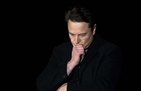 Twitter could be suspended across Europe after Musk bans journalists on platform