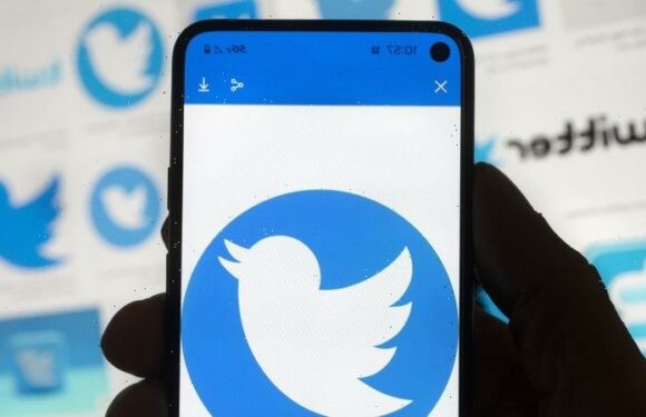 Twitter suffers partial outage in another blow to Musk