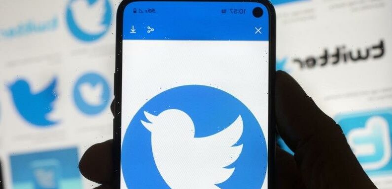 Twitter suffers partial outage in another blow to Musk