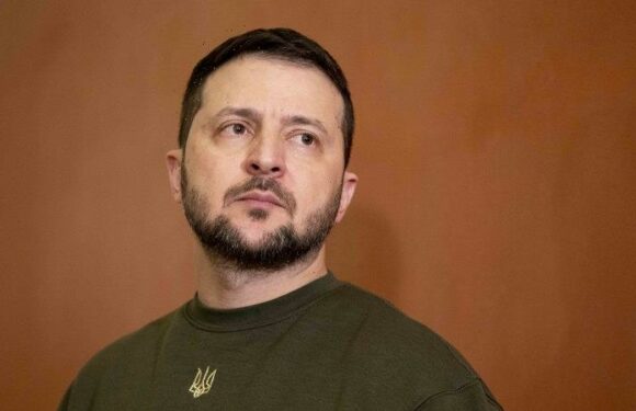 Ukraine ‘helped the West find itself again’, Zelensky says