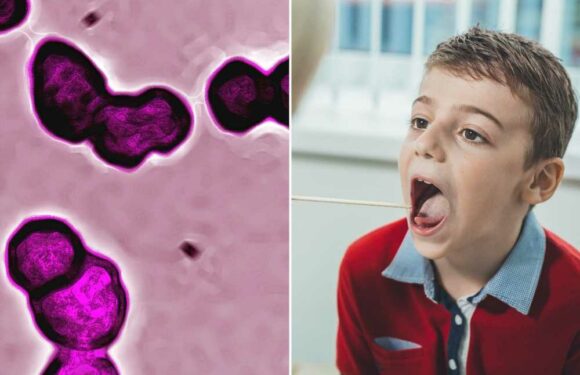 Urgent warning amid fears kids could pass deadly Strep A onto vulnerable grandparents as they gather for Christmas | The Sun