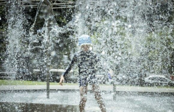 Victorians swelter through hottest day of the year