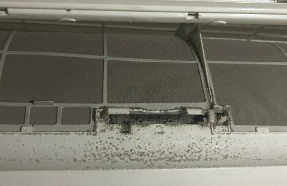 We made disgusting discovery in our Airbnb apartment – all we got was a £13 refund | The Sun