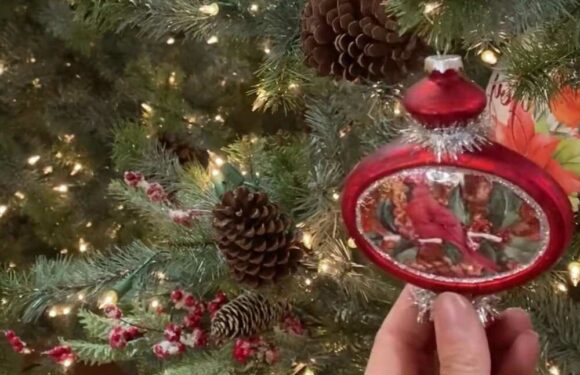 We're decorating pros… there’s an easy way to keep your Christmas tree baubles hanging straight and it’s totally free | The Sun