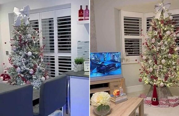We've put 15 Christmas trees up in our house, some say it's too much and mad but it's our happy place | The Sun