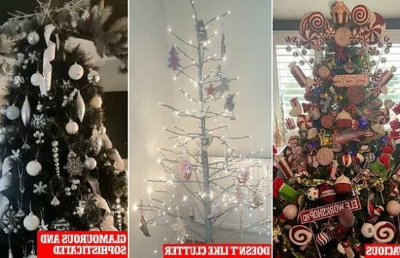 What do your Christmas decorations say about you?