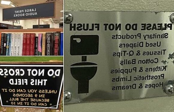 Who signed off on this? Bizarre notices will make you do a double take