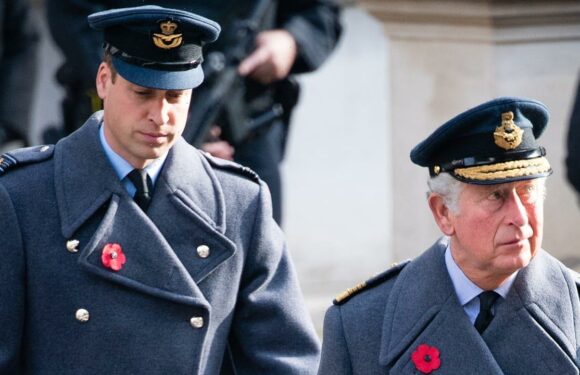 Why King Charles and Prince William will not speak out about Prince Harry and Meghan Markles Netflix bombshells