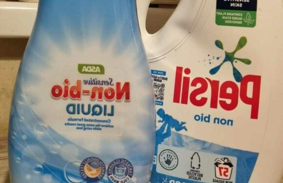 Wife has people in stitches over her husband's reaction to her washing hack… and it's so relatable | The Sun